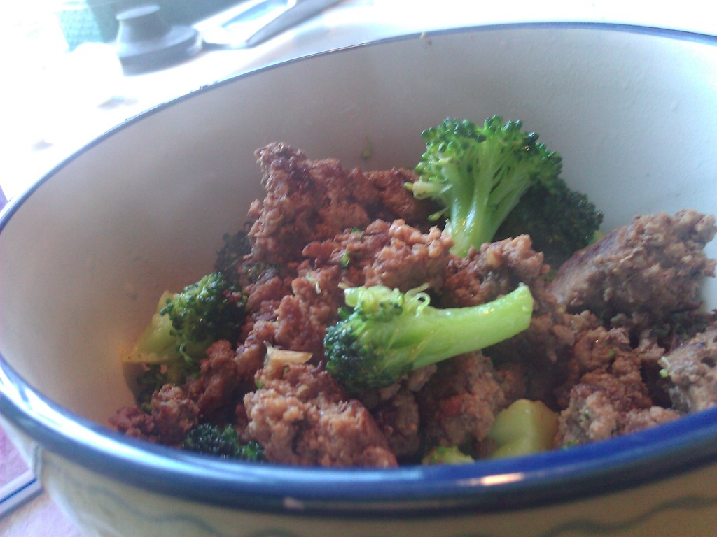 Poor man’s low carb beef and broccoli recipe