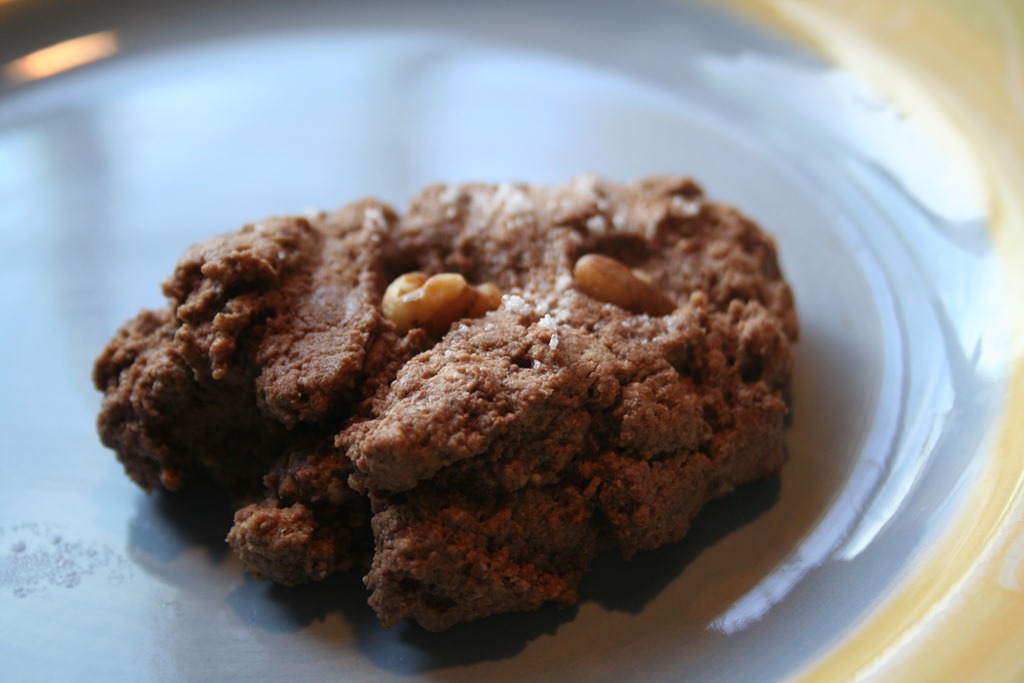 Low-carb chocolate, peanut butter protein cookie