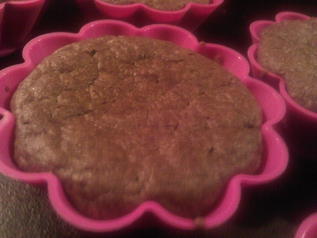 Low carb chocolate pumpkin muffin recipe